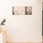 Profithome-punta Larga Lejlighed