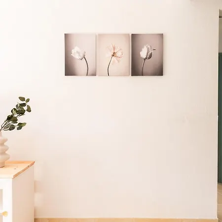 Profithome-punta Larga Apartamento